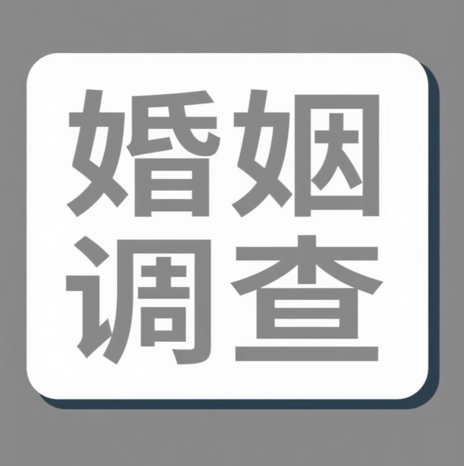 定西婚姻调查
